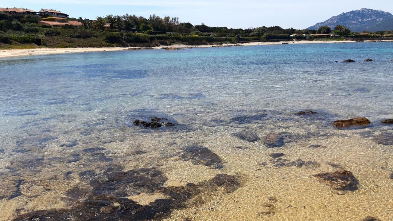 Lo Sguardo Sulla Citta' ,Panoramic View Διαμέρισμα Όλμπια Εξωτερικό φωτογραφία